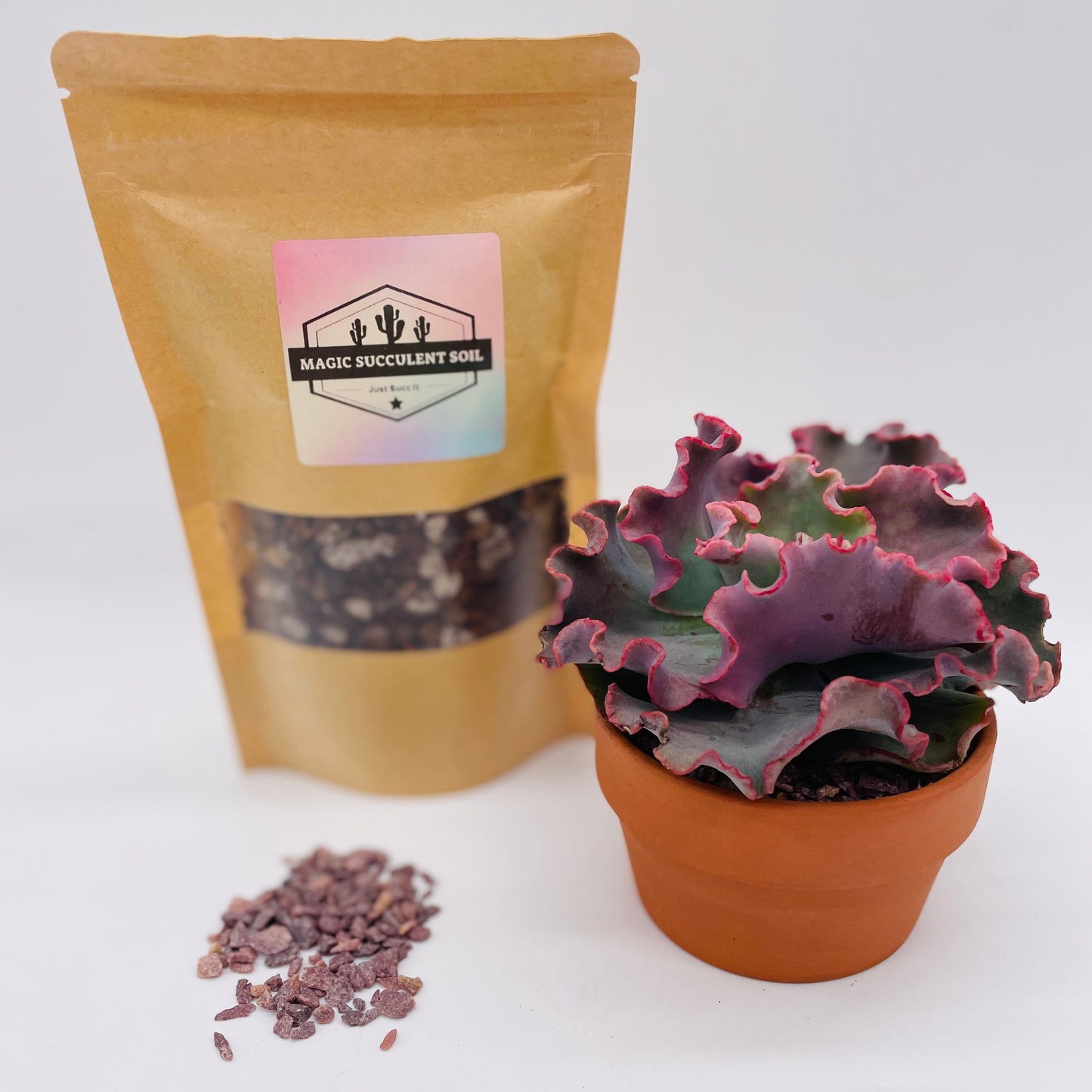 Succulent Potting Pack