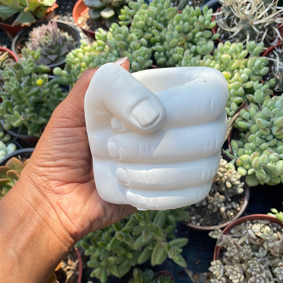 Hand Pot with drainage hole