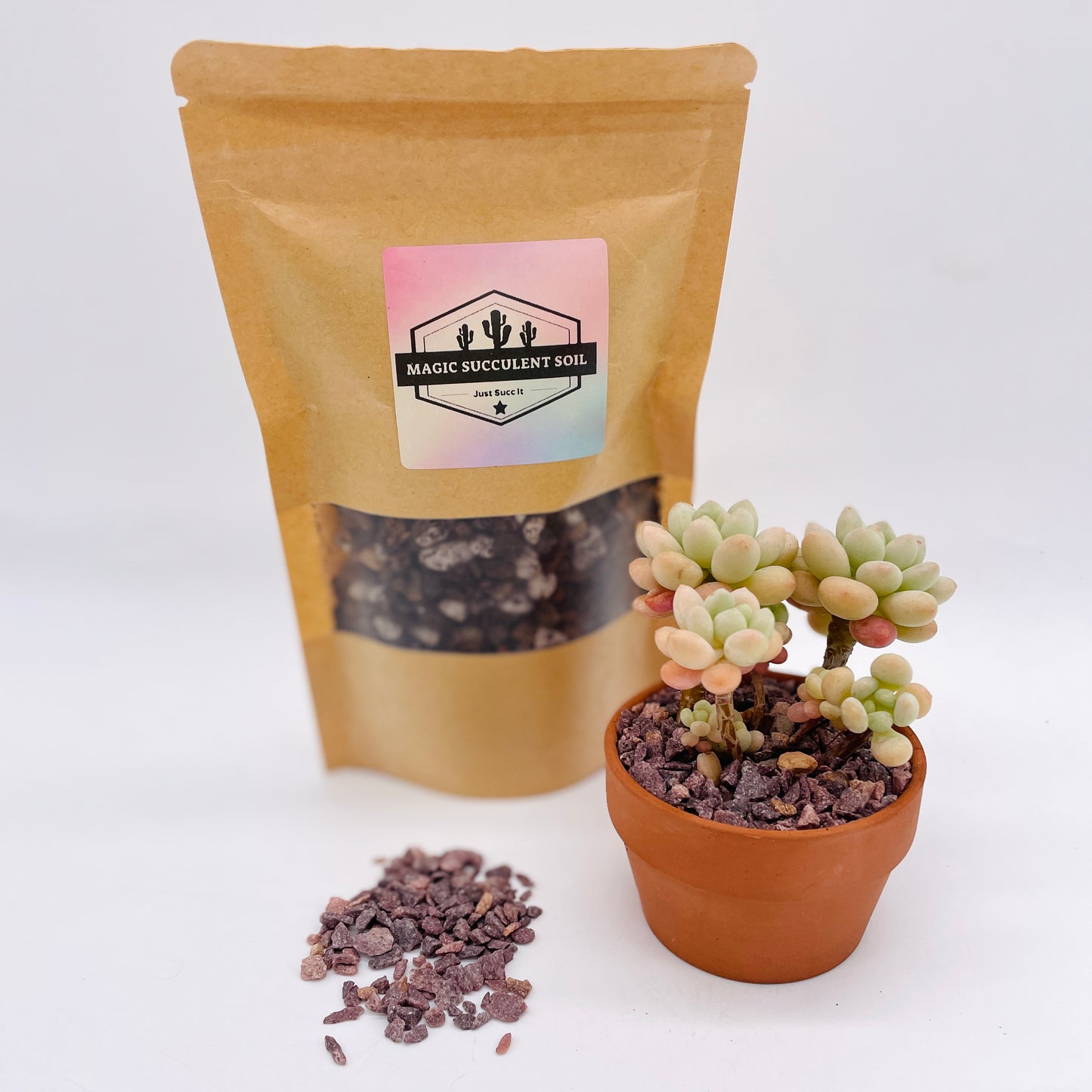 Succulent Potting Pack