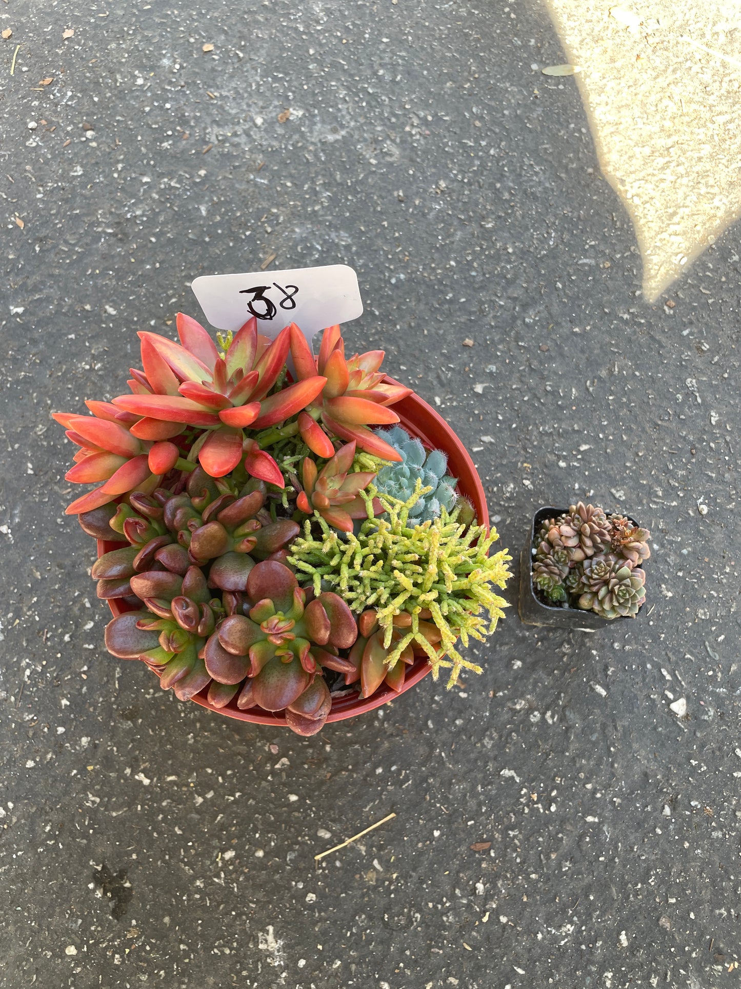 Jennyrebecca82 order