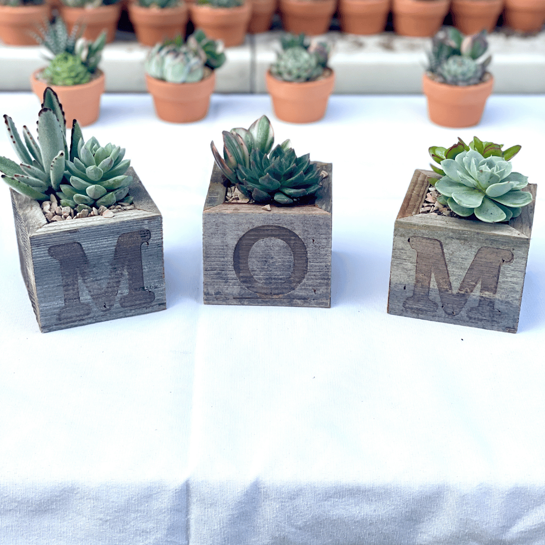 MOM Rustic Cube Succulent Planter