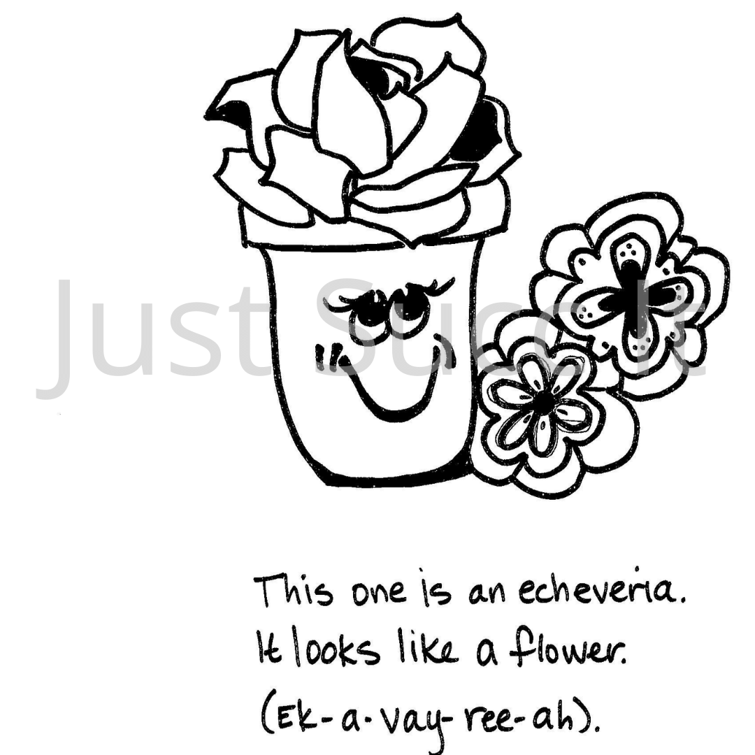 The Secret Wisdom of Succulents - A Coloring Book Story