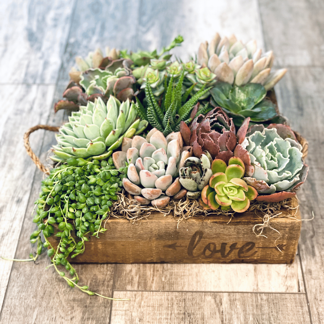 XL Love Planter Succulent Arrangement