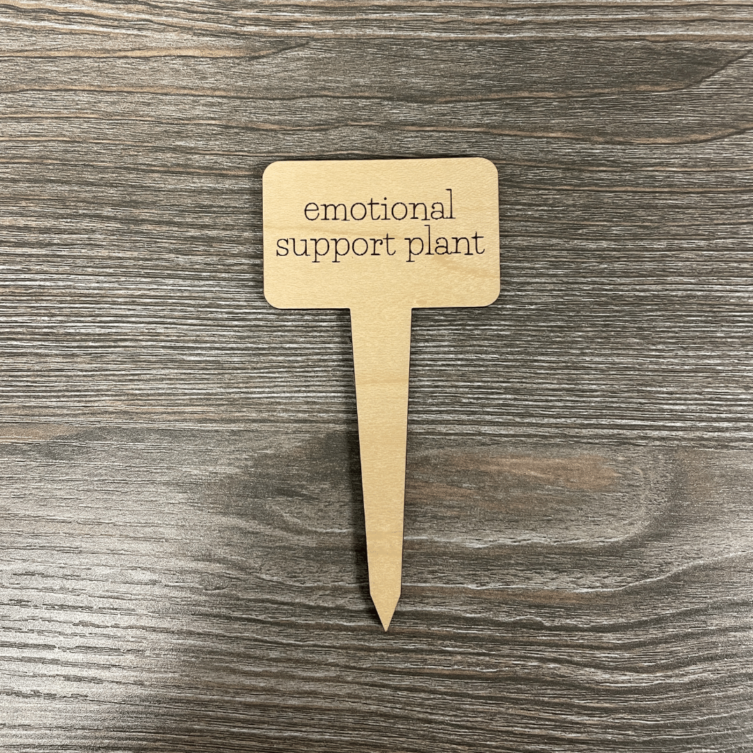Plant stakes (succulent not included)