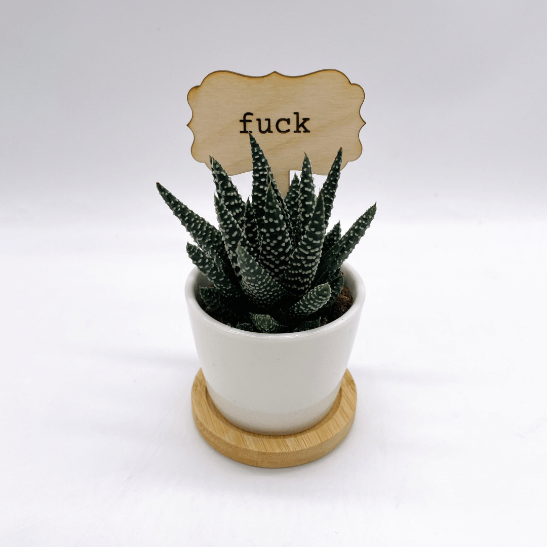 F*ck Succ