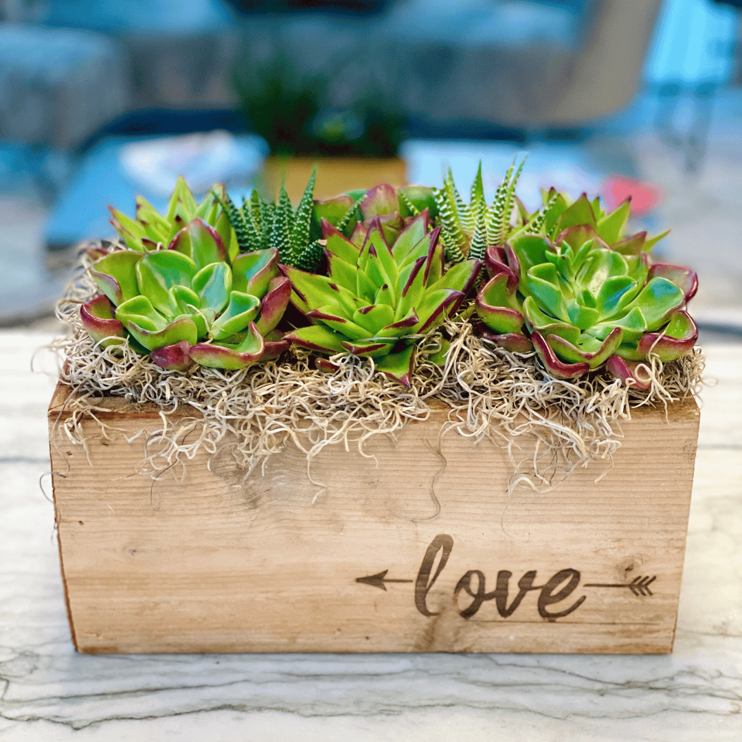 planter box with succulents Love Planter Succulent Arrangement