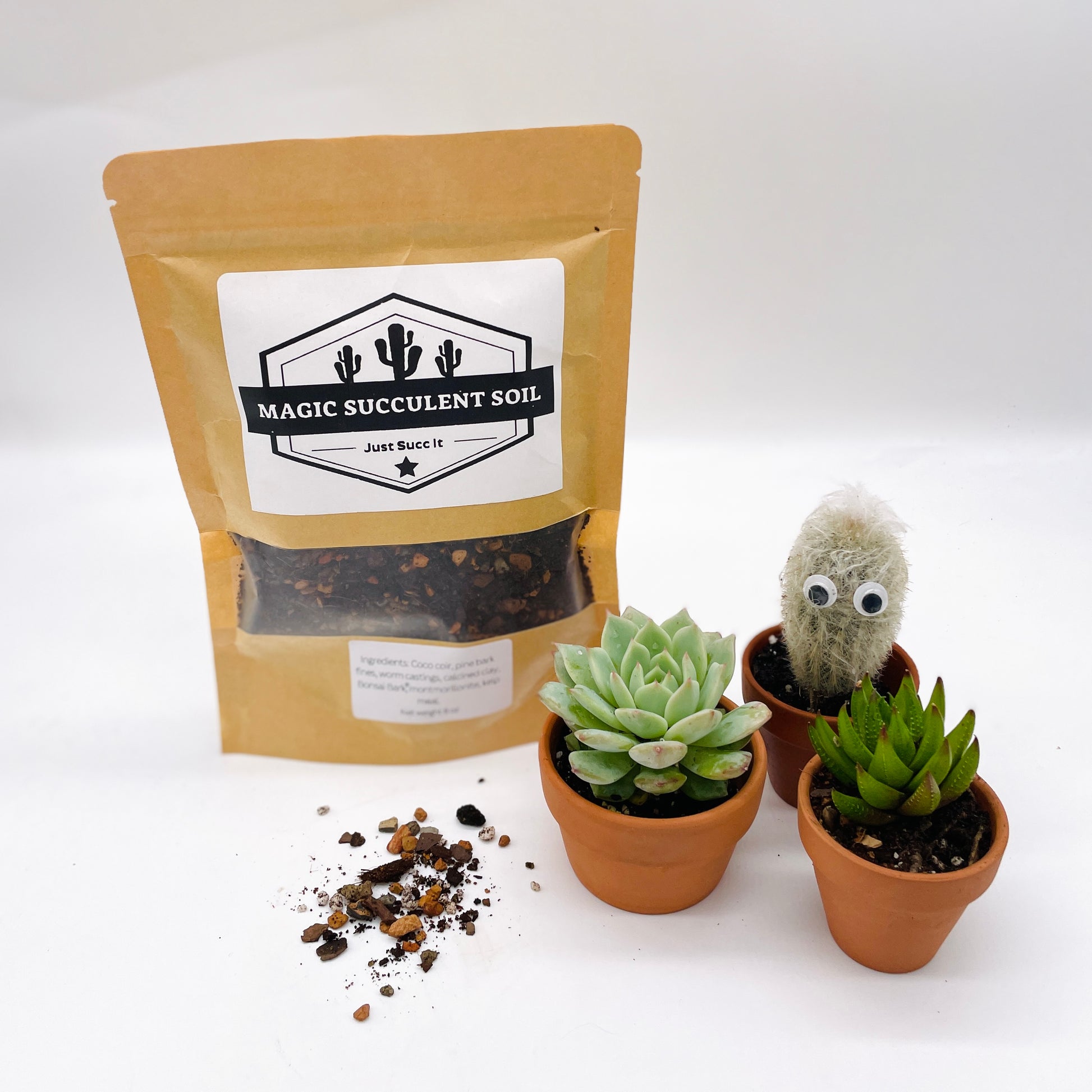 planting succulents in coco coir Magic Succulent Soil