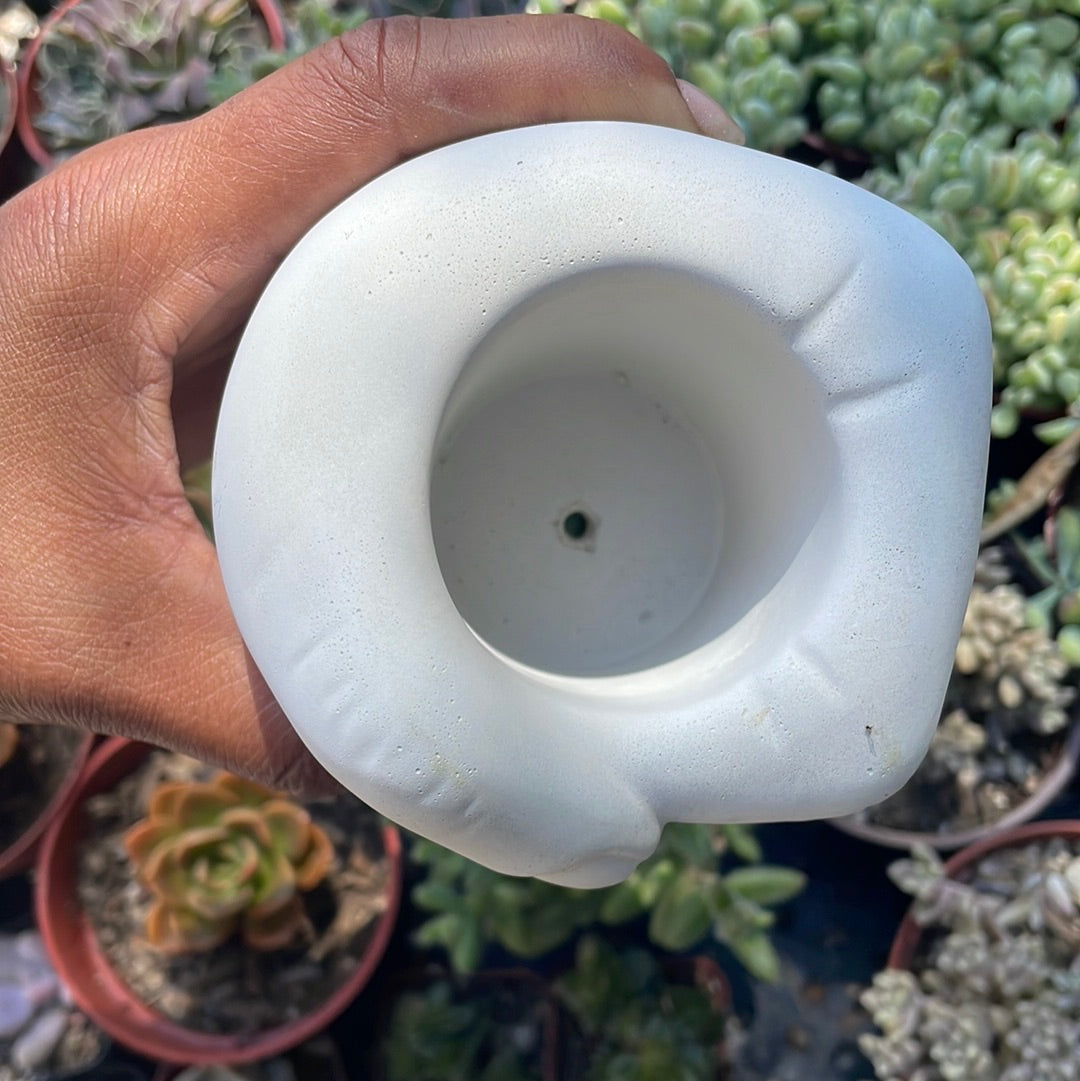 Hand Pot with drainage hole