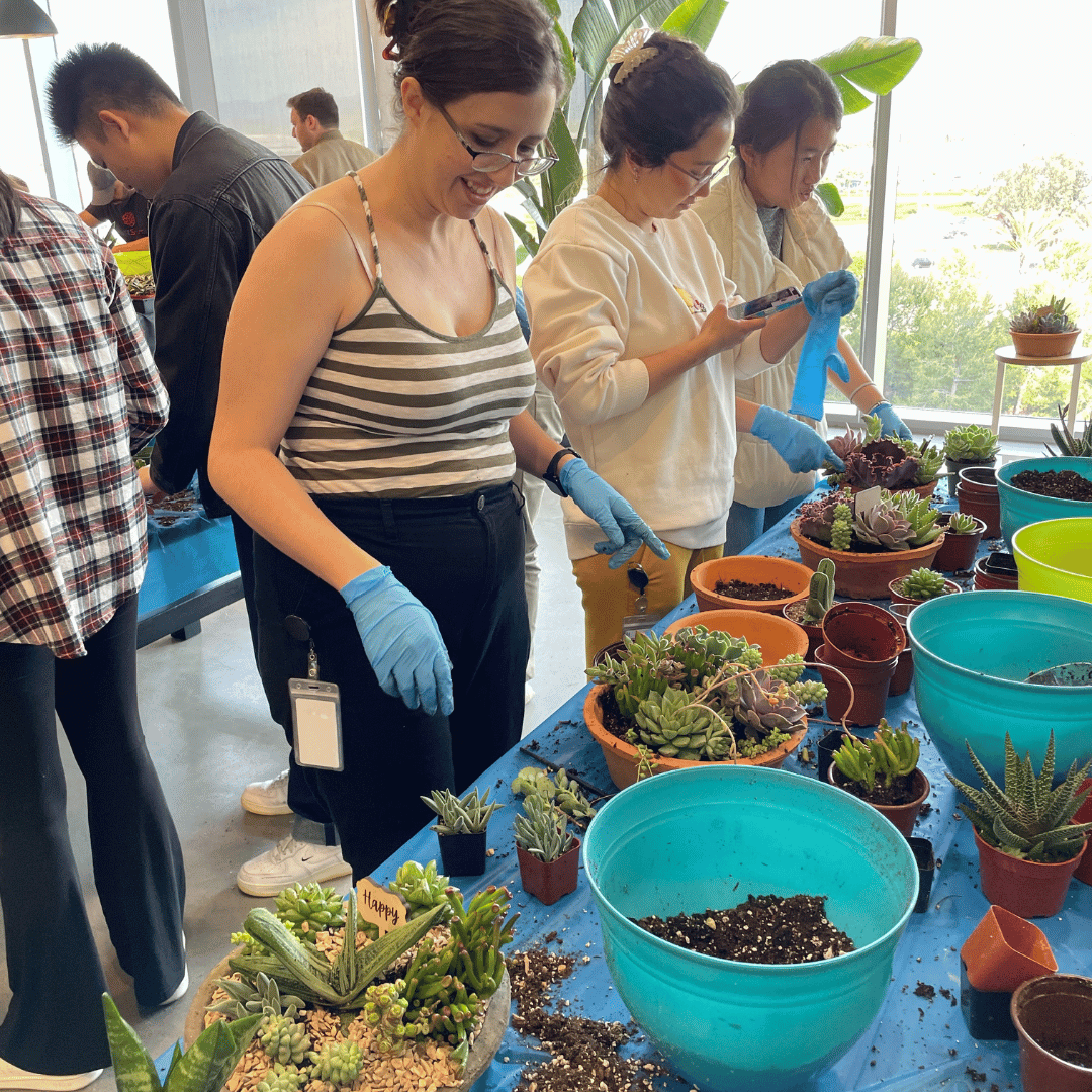 Succulent Arrangement Workshop 2/9/24 from 11:30-1pm