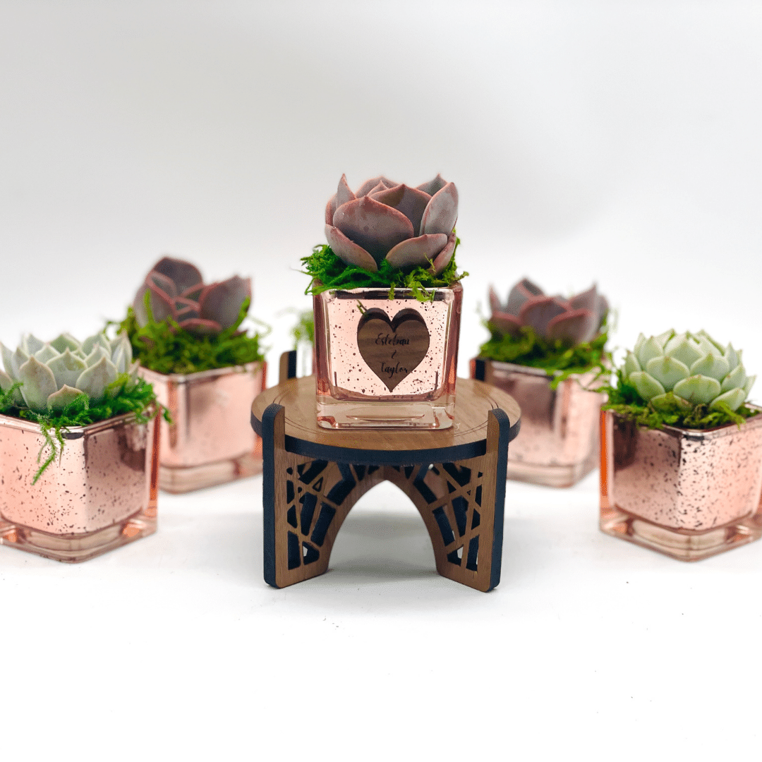 succulents in gold pots Succulent Favors