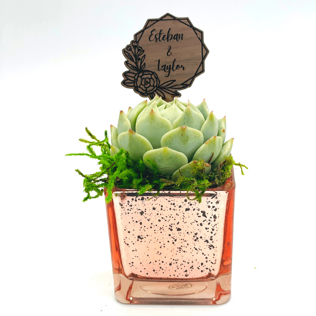 Succulent Favors  - Rose Gold