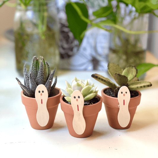 DIY Succulent Turkey Kit