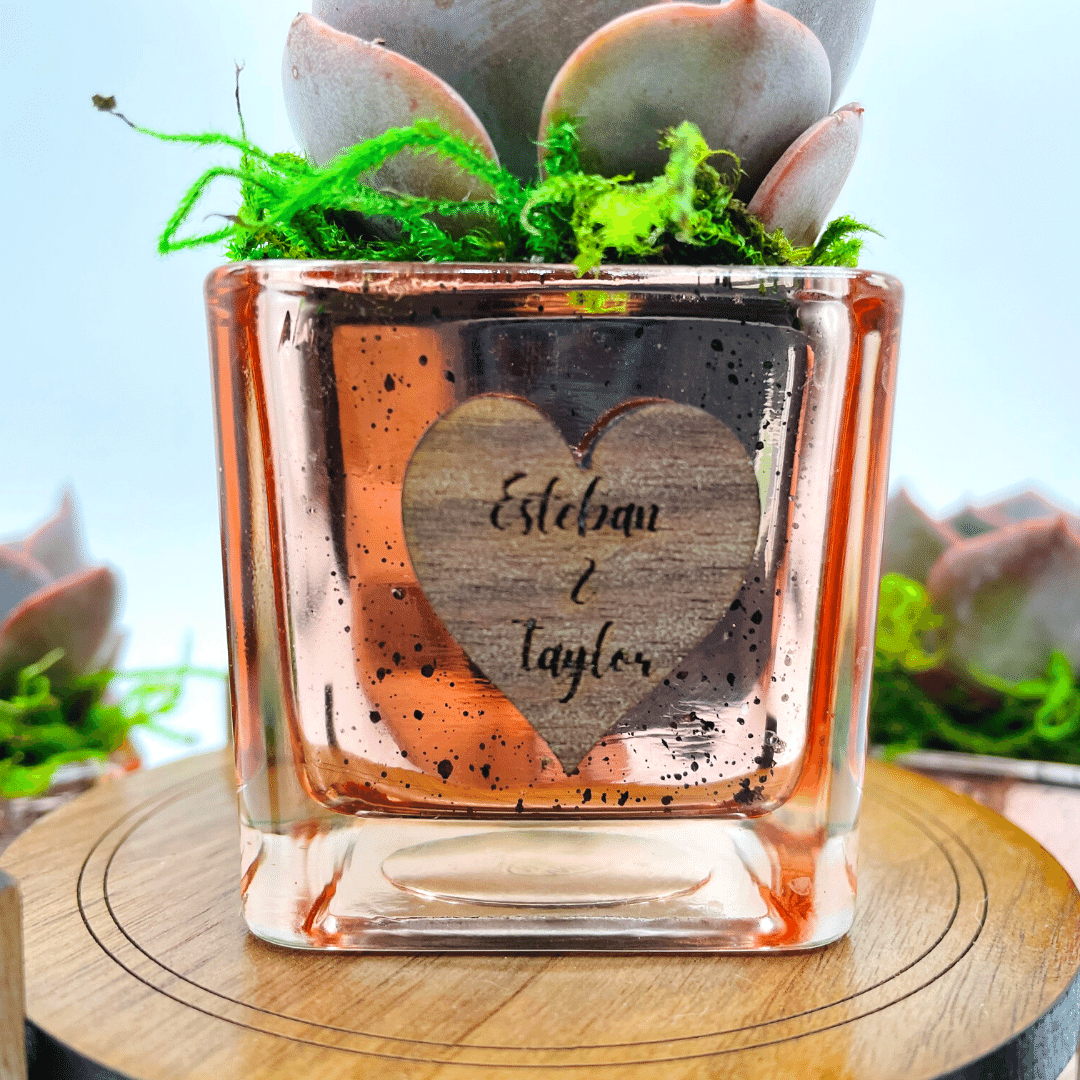 Succulent Favors  - Rose Gold