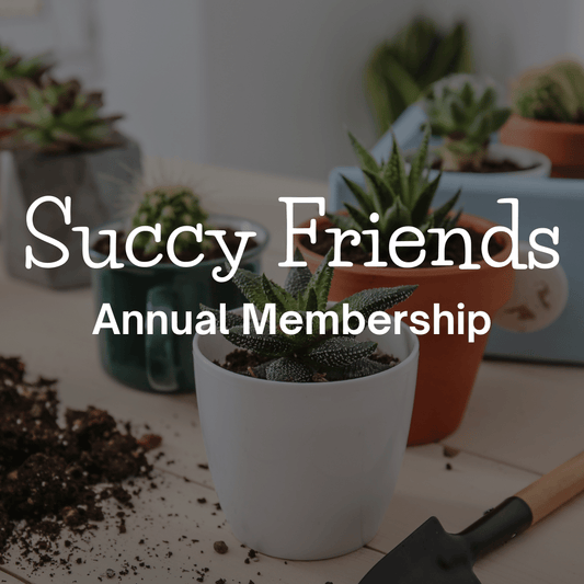 Succy Friends Yearly Membership