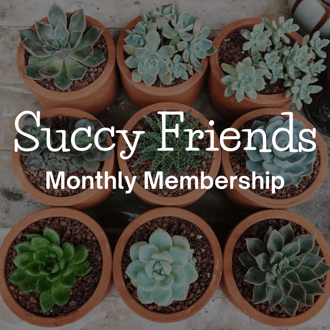 Succy Friends Monthly Membership